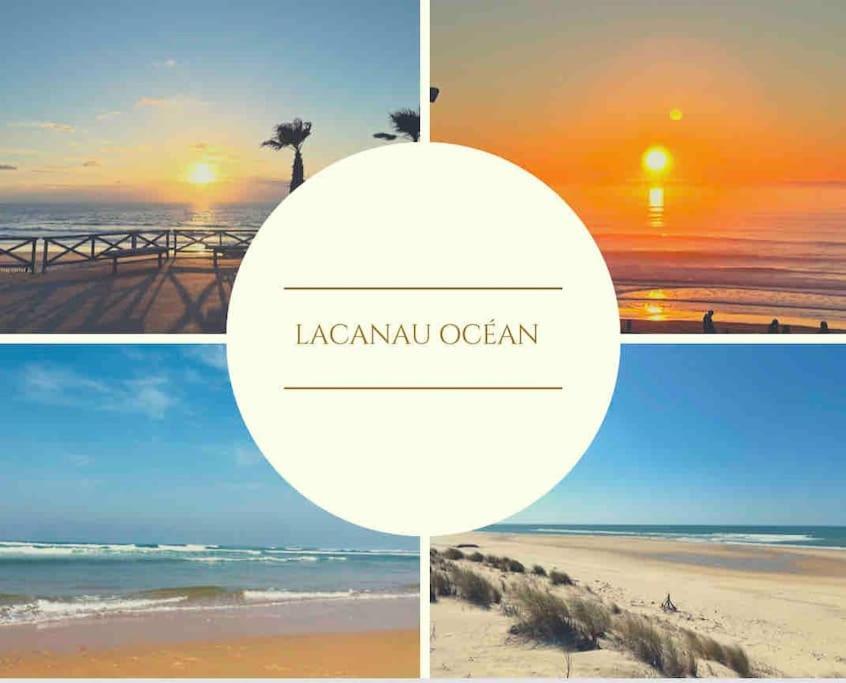 Cosy Studio Avec Vue Sur L'Ocean Lacanau Zewnętrze zdjęcie